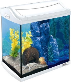 Аквариум Tetra AquaArt Discovery LED Cray 30л белый 39х27,5х42см