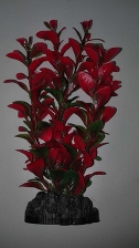Растение пластиковое Людвигия 20см красно-зеленое
