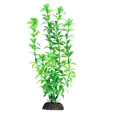 Растение 1049LD "Гемиантус" зеленый, 300мм, (пакет)