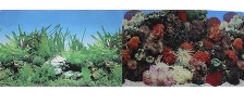 Фон для аквариума двухсторонний Кораллы/Растительный 60х150см (9001/9003)