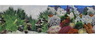 Фон для аквариума двухсторонний Морской пейзаж/Подводный рельеф 30х60см (9029/9030)