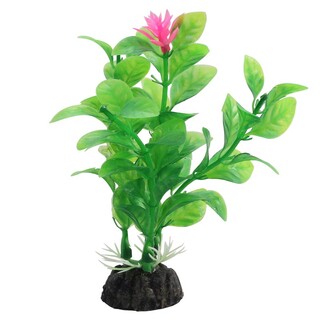 Растение 1039LD "Незея цветущая", 100мм, (пакет)