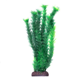 Растение 1065LD "Амбулия" зеленая, 300мм, (пакет)