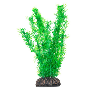 Растение 1969 "Лигодиум" зеленый, 200мм, (пакет)
