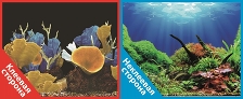 Фон двухсторонний с одной самоклеящейся стороной Морские кораллы/Подводный мир 50x100см 9096-1+/9097