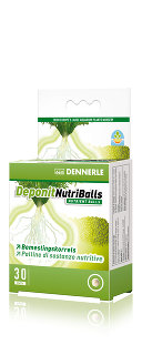 Добавка профессиональная грунтовая Dennerle Nutriballs 30 таблеток