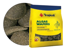 Algae Wafers 11л./4,5кг.(пакет) - Корм для растительноядных рыб в виде тонущих чипсов.