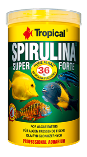 Super Spirulina Forte 36%  5литр./1кг (ведро) - хлопьевидный корм с 36% содерж.водорослей Spirulina