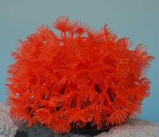 Коралл пластиковый (мягкий) красный 10х10х10см (CA006R)