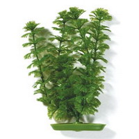 Амбулия 38см, растение пластиковое зеленое Marina®