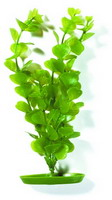 Монетница 50см, растение пластиковое зеленое Marina®