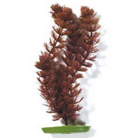 Растение пластиковое коричневое Перистолистник 50см