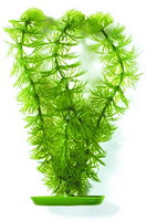 Роголистник 38см, растение пластиковое зеленое Marina®