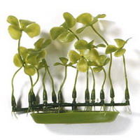 Растение пластиковое зеленое Четырехлистник