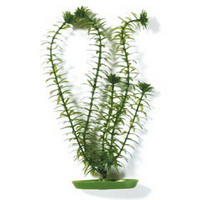Растение пластиковое зеленое Элодея 50см