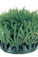 Мох фонтиналис 5см (2шт), растение пластиковое 