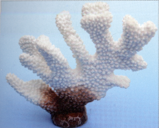 Коралл пластиковый белый 13х5х11,5см (SH9202W)