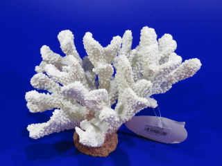Коралл пластиковый белый 17х14х11см (SH9200W)