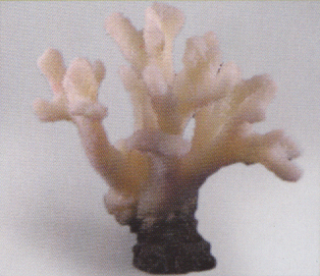 Коралл пластиковый белый 23x14x24см (SH055W)