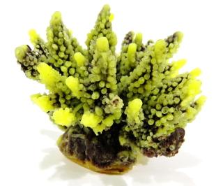 Коралл пластиковый желто-коричневый 11,5x10x9см (SH095PUY)