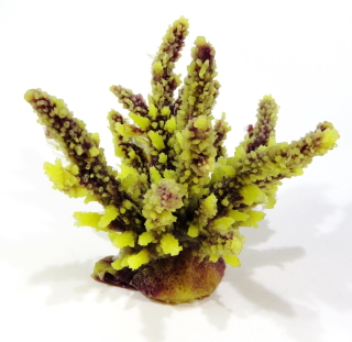 Коралл пластиковый желто-коричневый 12,6x10,7x11см (SH059PUY)