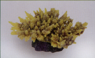 Коралл пластиковый желто-коричневый 14х11,5х6,5см (MA116PUY)