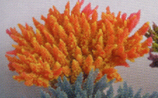 Коралл пластиковый желтый 21х18х8,5см (SH080Y)