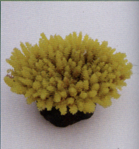 Коралл пластиковый желтый 7,5x6,5x3,6см (MA114Y)