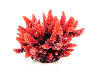 Коралл пластиковый коричневый 11,5x10x9см (SH095PU)