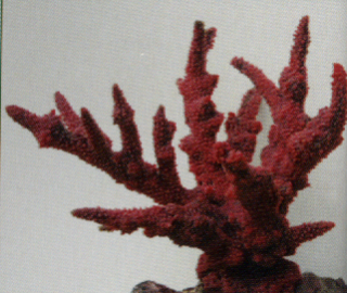 Коралл пластиковый красный 20х16х16см (SH035R)
