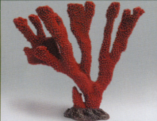 Коралл пластиковый красный 25х8х24см (SH064R)
