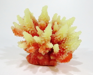 Коралл пластиковый перламутровый 11,5x10x9см (SH095PI)