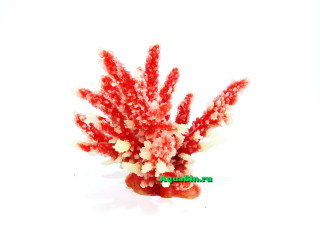 Коралл пластиковый перламутровый 12,6x10,7x11см (SH059PI)