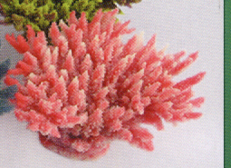 Коралл пластиковый перламутровый 21х18х8,5см SH080PI)
