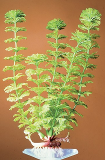 Растение пластиковое перламутровое Амбулия-зеленая, 17,5 см (шт.)