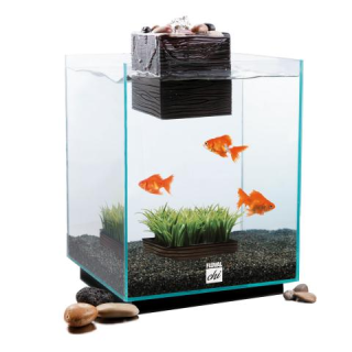 Аквариумный  набор  FLUVAL  CHI  19л