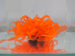 Коралл оранжевый из латекса ( Canal) 4,5x4,5x11 см.
