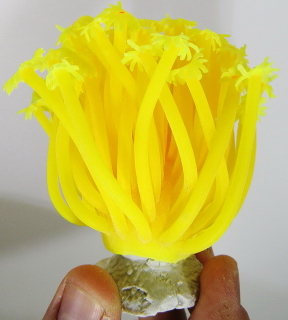 Коралл силиконовый на керамической основе, желтый, 13х13х10см (RT187Y)