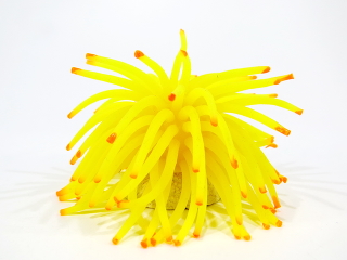 Коралл силиконовый на керамической основе, желтый, 4.5х4.5х4см (RT172SY)