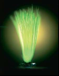 Растение пластиков. светящееся  Гелеохарис,  17.5см.  PennPlax