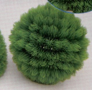 Растение пластиковое Коврик-шар D=14см зеленое (2865_14)