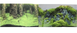 Фон для аквариума двухсторонний Затопленный лес/Камни с растениями 50х100см (9086/9087)