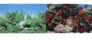 Фон для аквариума двухсторонний Кораллы/Растительный 50х100см (9001/9003)