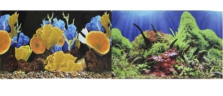 Фон для аквариума двухсторонний Морские кораллы/Подводный мир 30х60см (9096-1/9097)