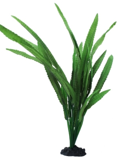 Растение шелковое PRIME Криптокорина Балансе 13см