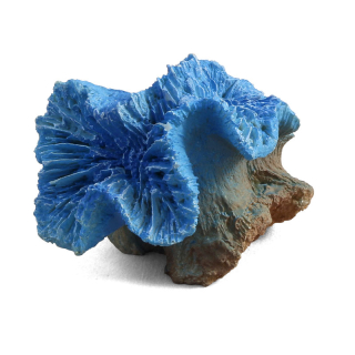 Коралл искусственный 2906LD "Каталофиллия" голубая, 80*70*70мм