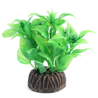 Растение 0806 "Альтернантера" зеленая, 80мм, (пакет)