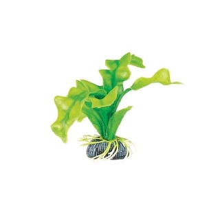 Растение 1314 "Апоногетон" зеленый, 100мм, (пакет)