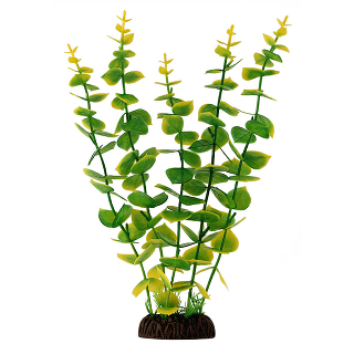 Растение 2962 "Бакопа" зеленая, 300мм, (пакет)