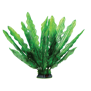 Растение 40002AP с распылителем "Увирандра" зеленая, 400мм, (блистер)